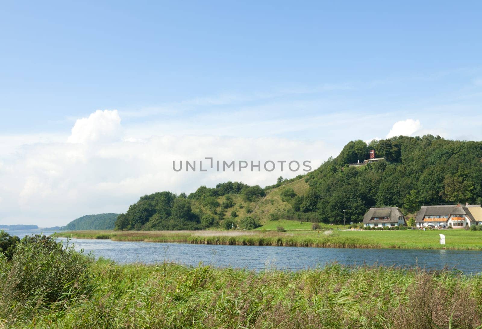 Hills with trees near Zicker (Rügen)