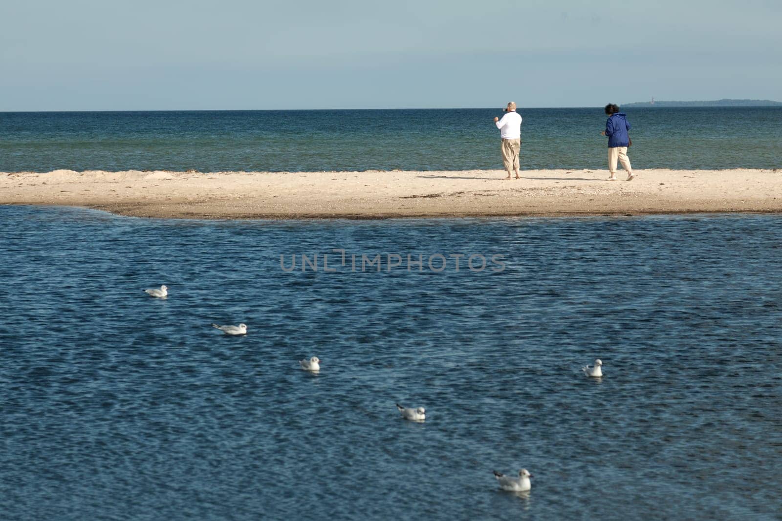 Seagulls and beachgoers on a headland