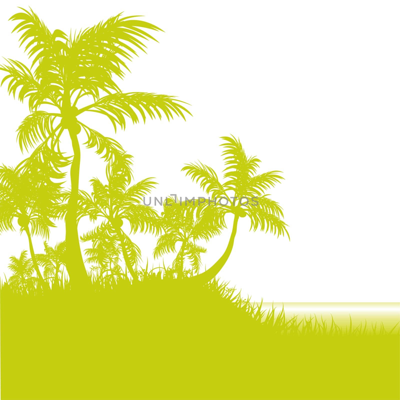 Palm beach