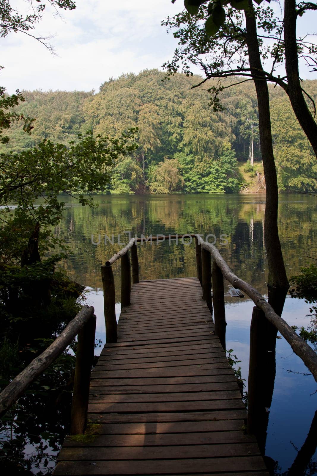 Jetty at Lake Hertha on Rügen,Jasmund