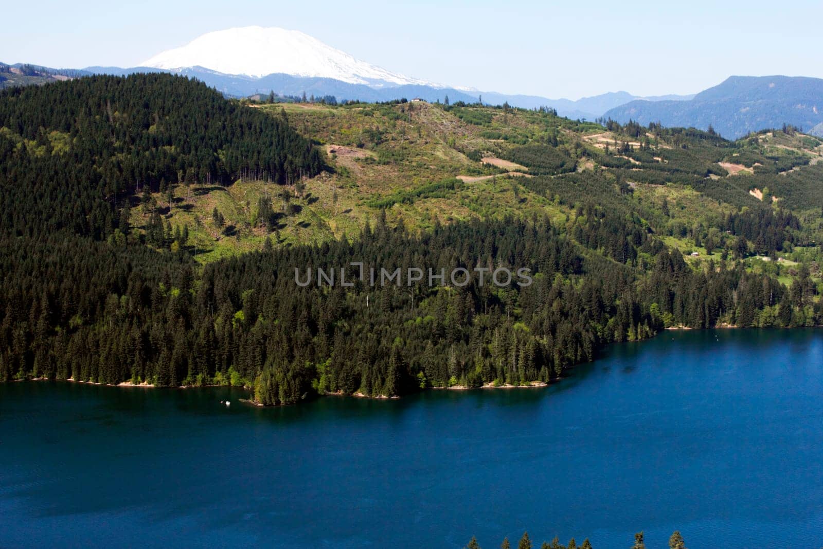 Expansive view of large lake and forest with some clear cut hills and snow capped Mount St Helens in the background.