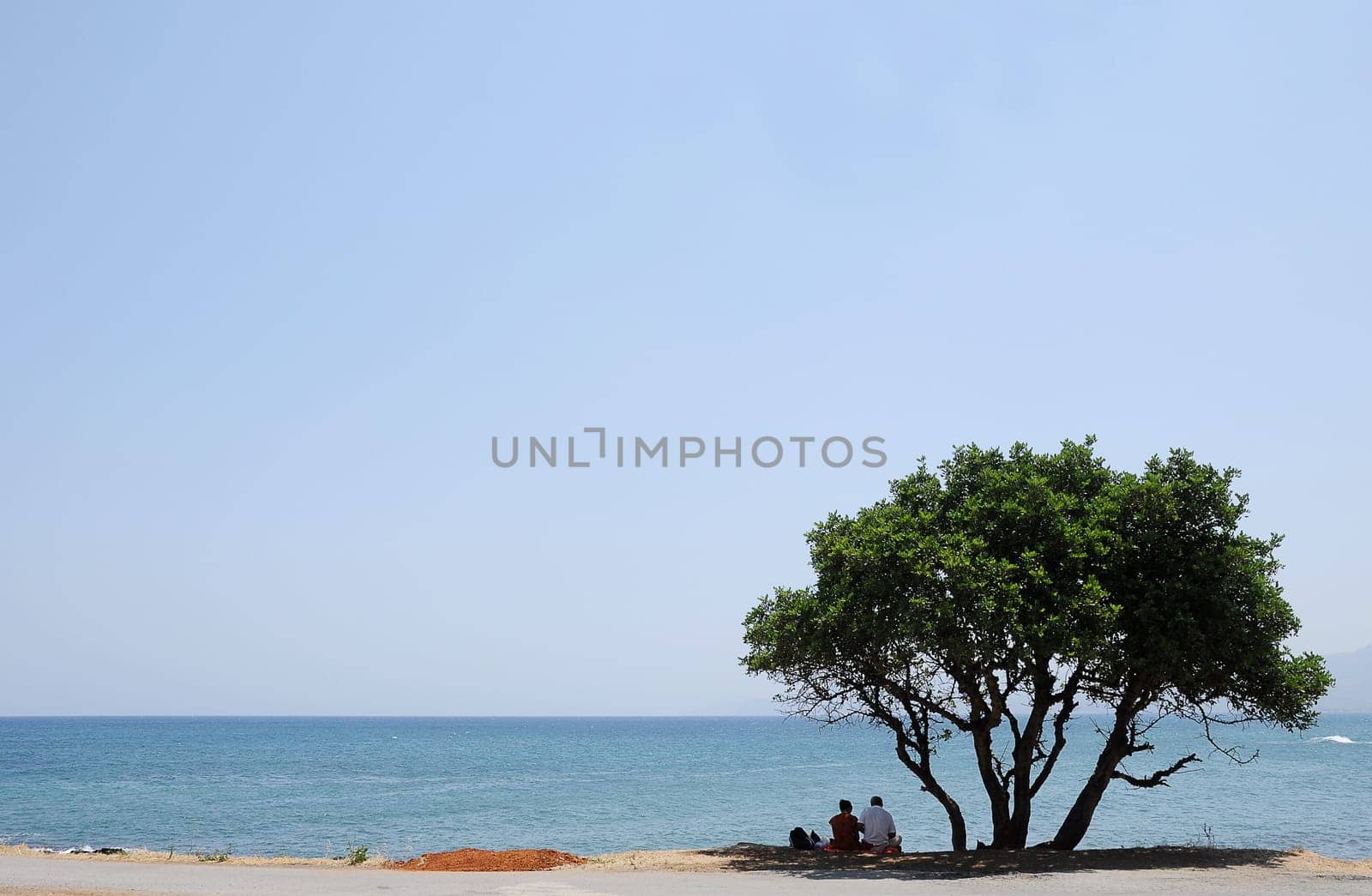 Shaded place