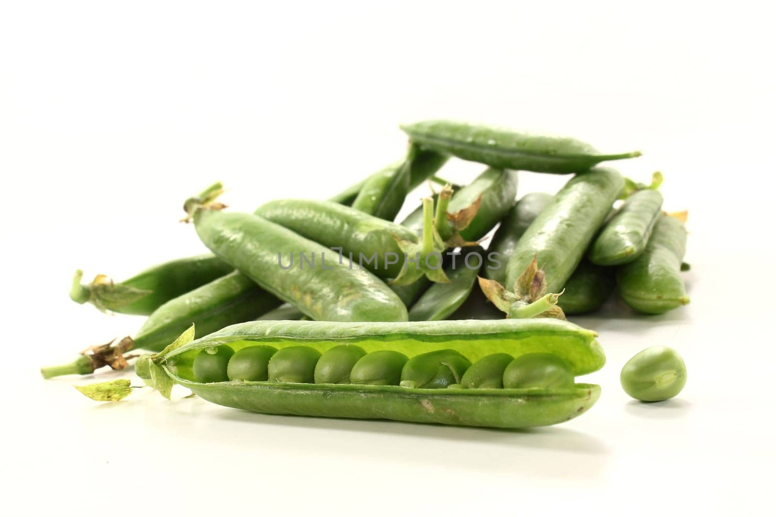 fresh vegetables against white background