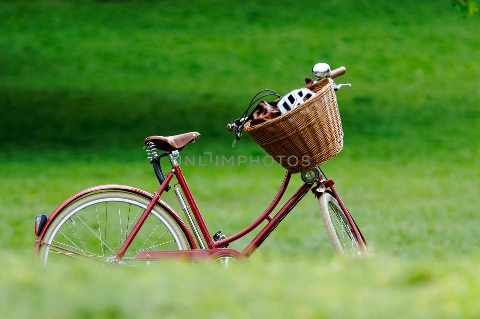 A red bicycle in a park