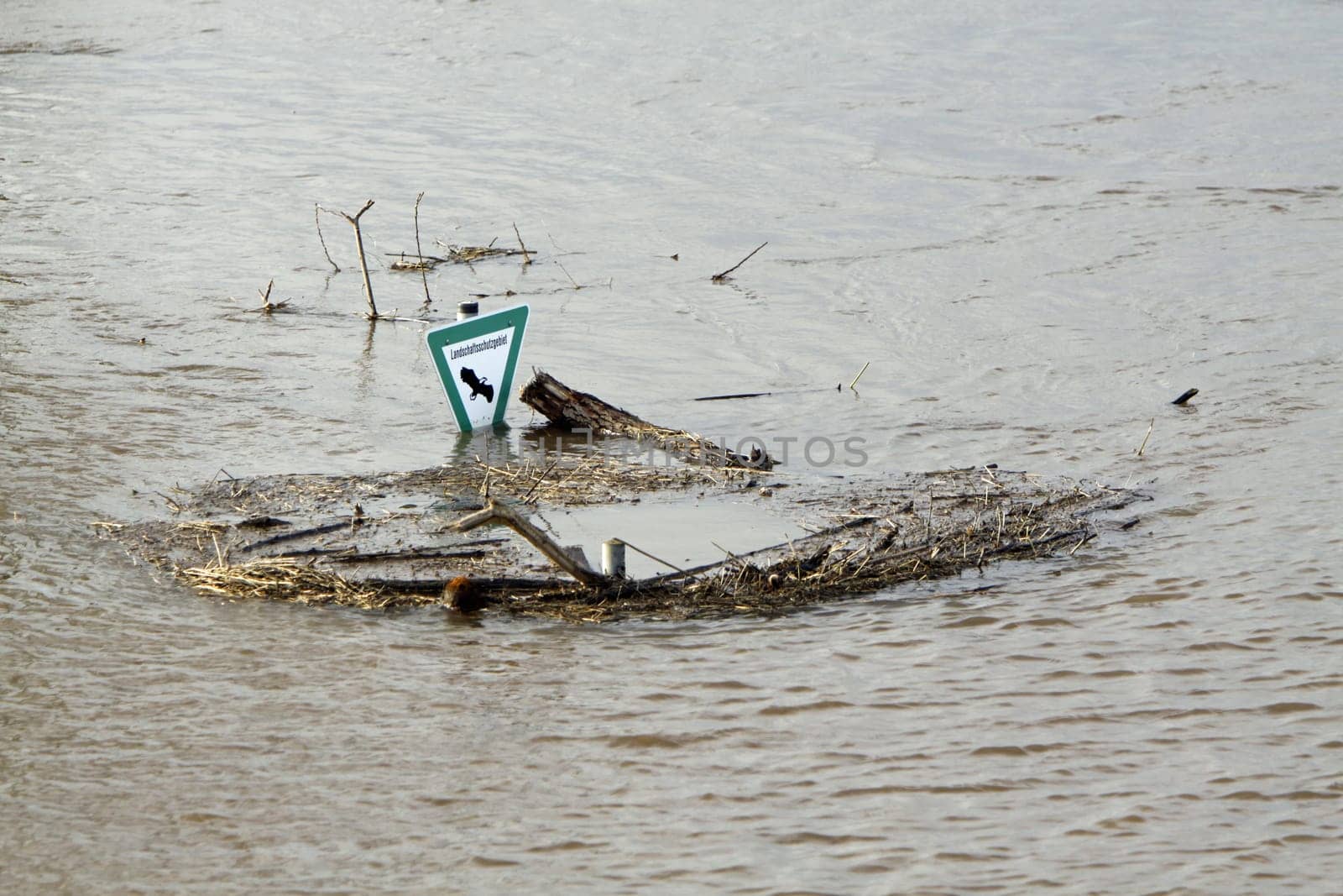 Weser flood near Hessisch Oldendorf