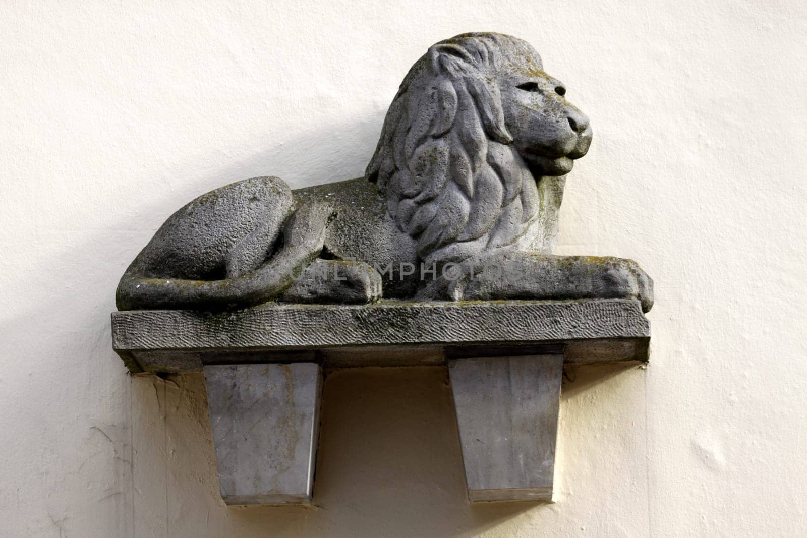 Löwe at the Löwenapotheke in Hamelin