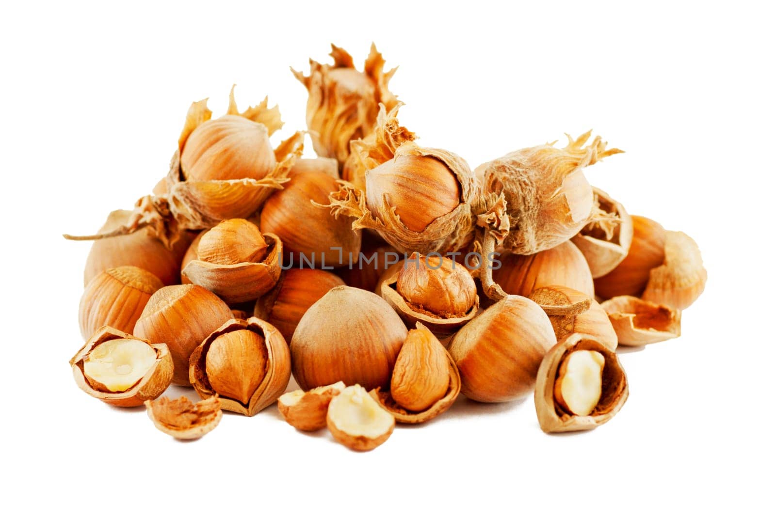 Composition of dried raw hazelnuts in shell, husks, cracked, and kernal