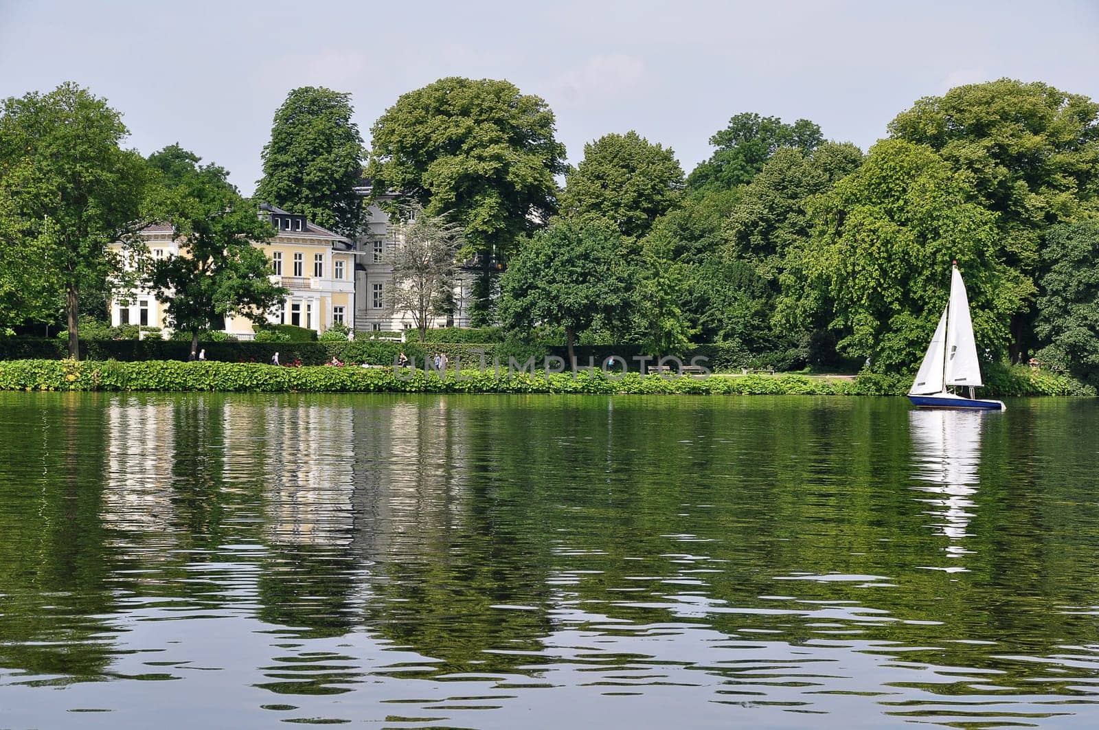 Hamburg Alster in summer
