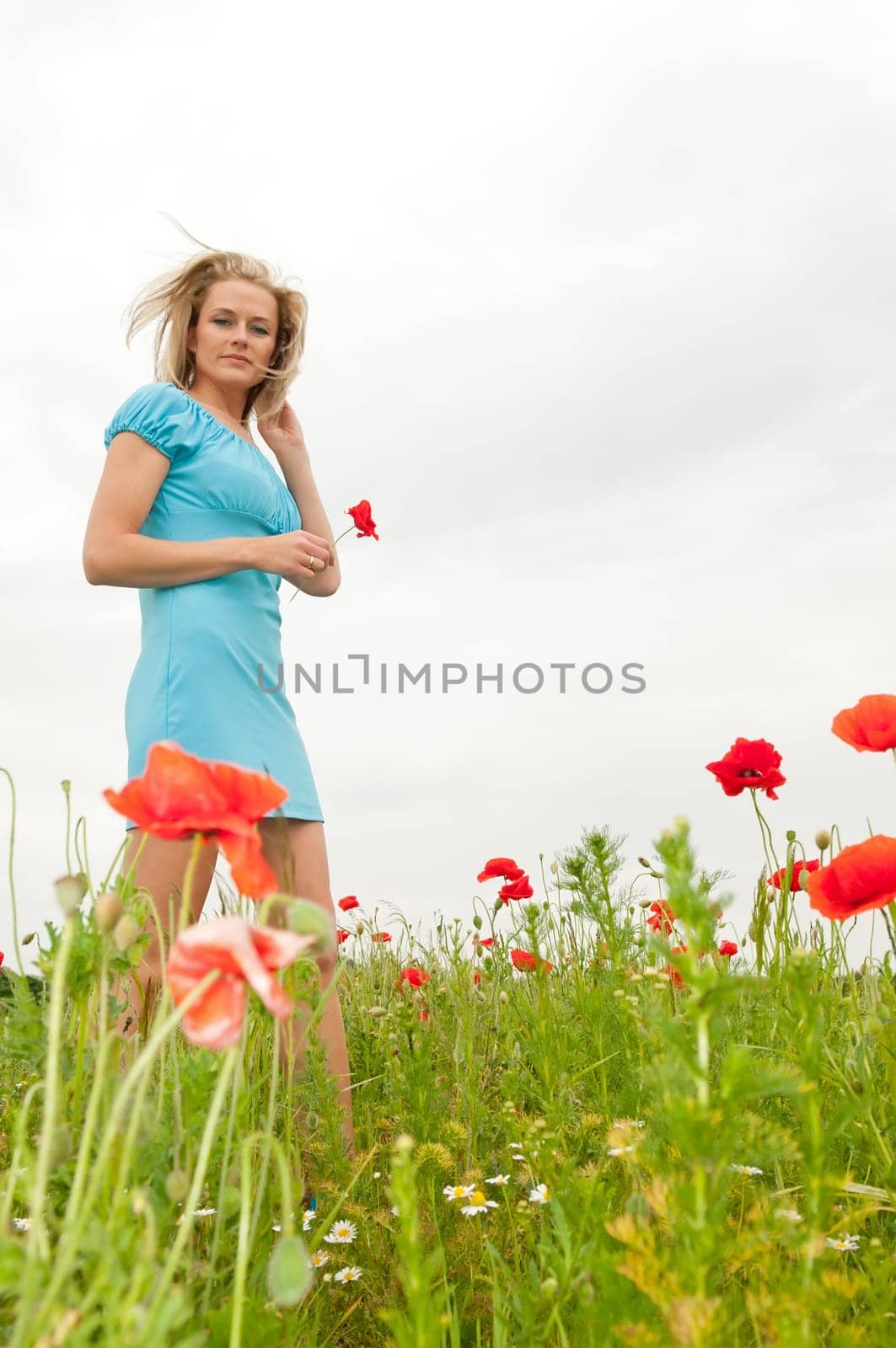 Young woman in poppy field