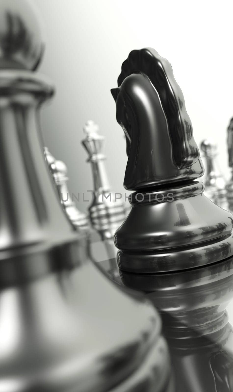 Chessboard Macro - The Black Knight 2
