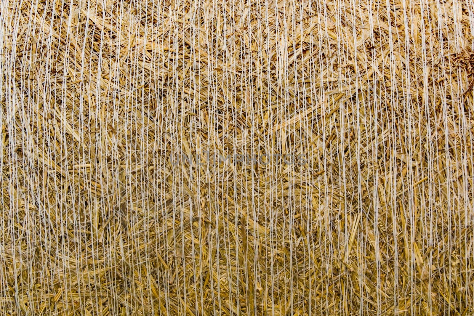 Straw Bale Background Round - Frontal