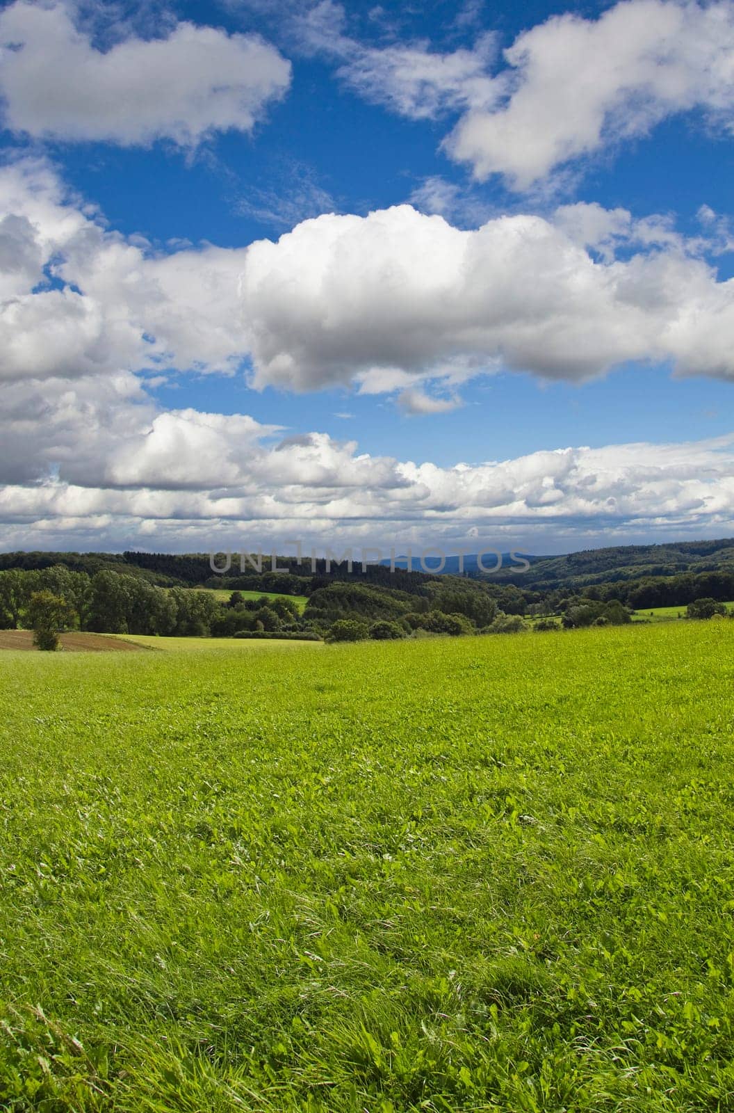 German Landscape Background