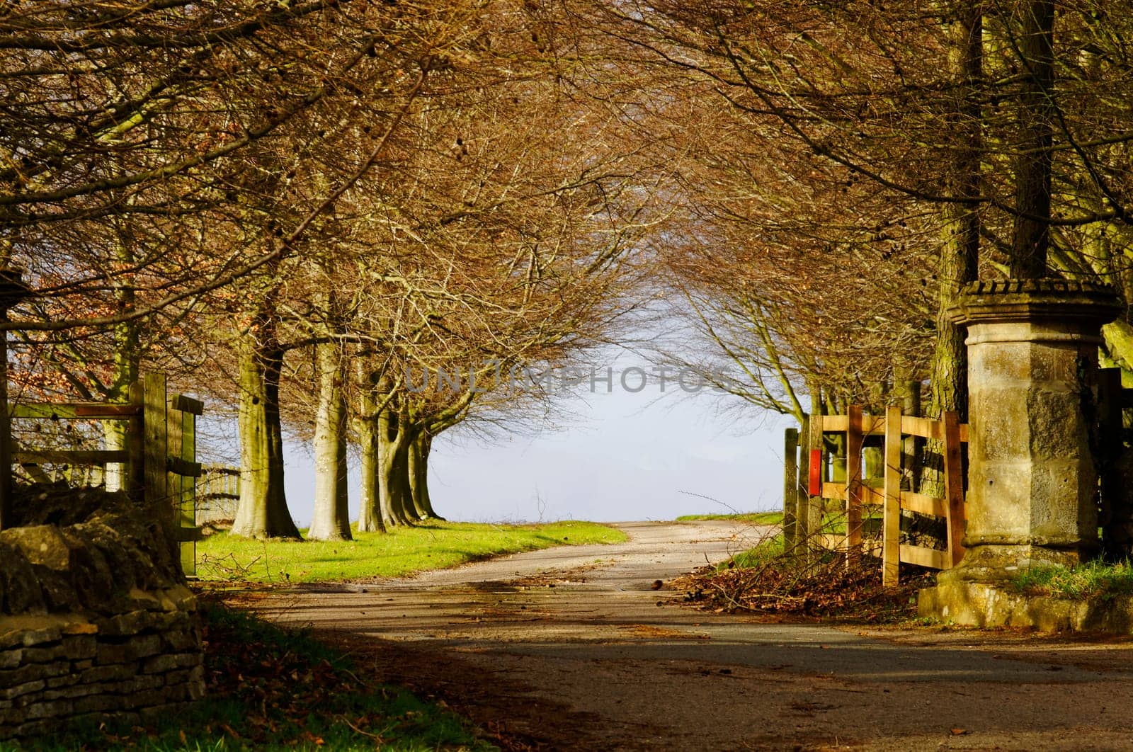Park entry gate in winter, England, UK