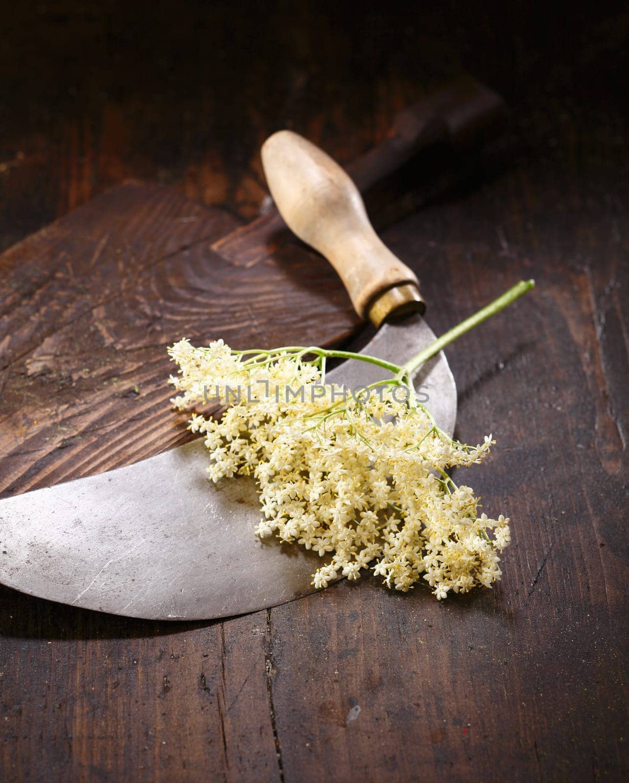 Elder flowers, round knife and cutting board on brown table