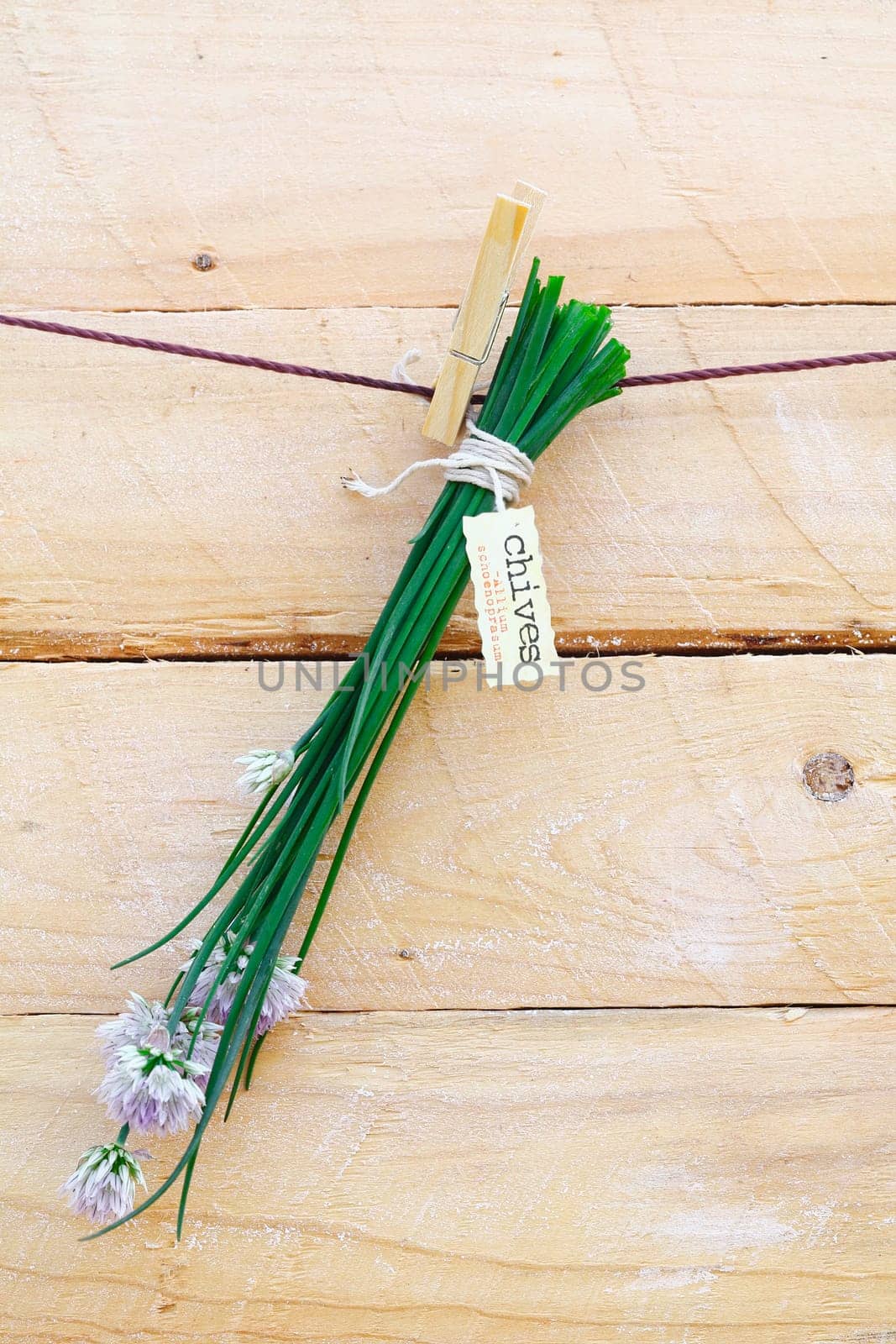 Bunch of fresh green chives with a decorative label hanging from a clothes peg against a rustic wooden background