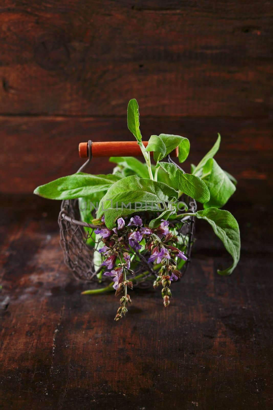 Bunch of freshly picked sage in wire basket on a rustic wooden table top