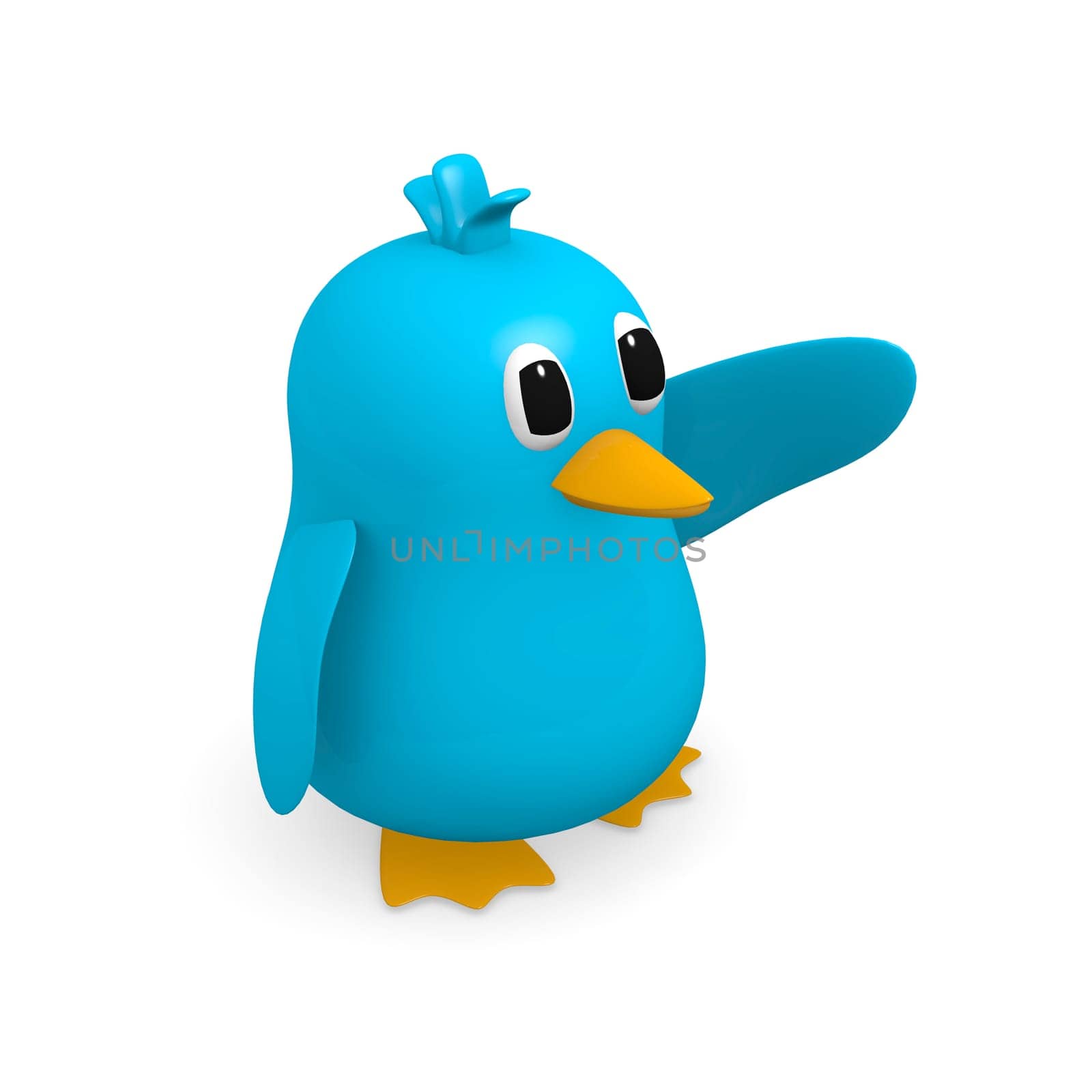 Blue bird on a white background