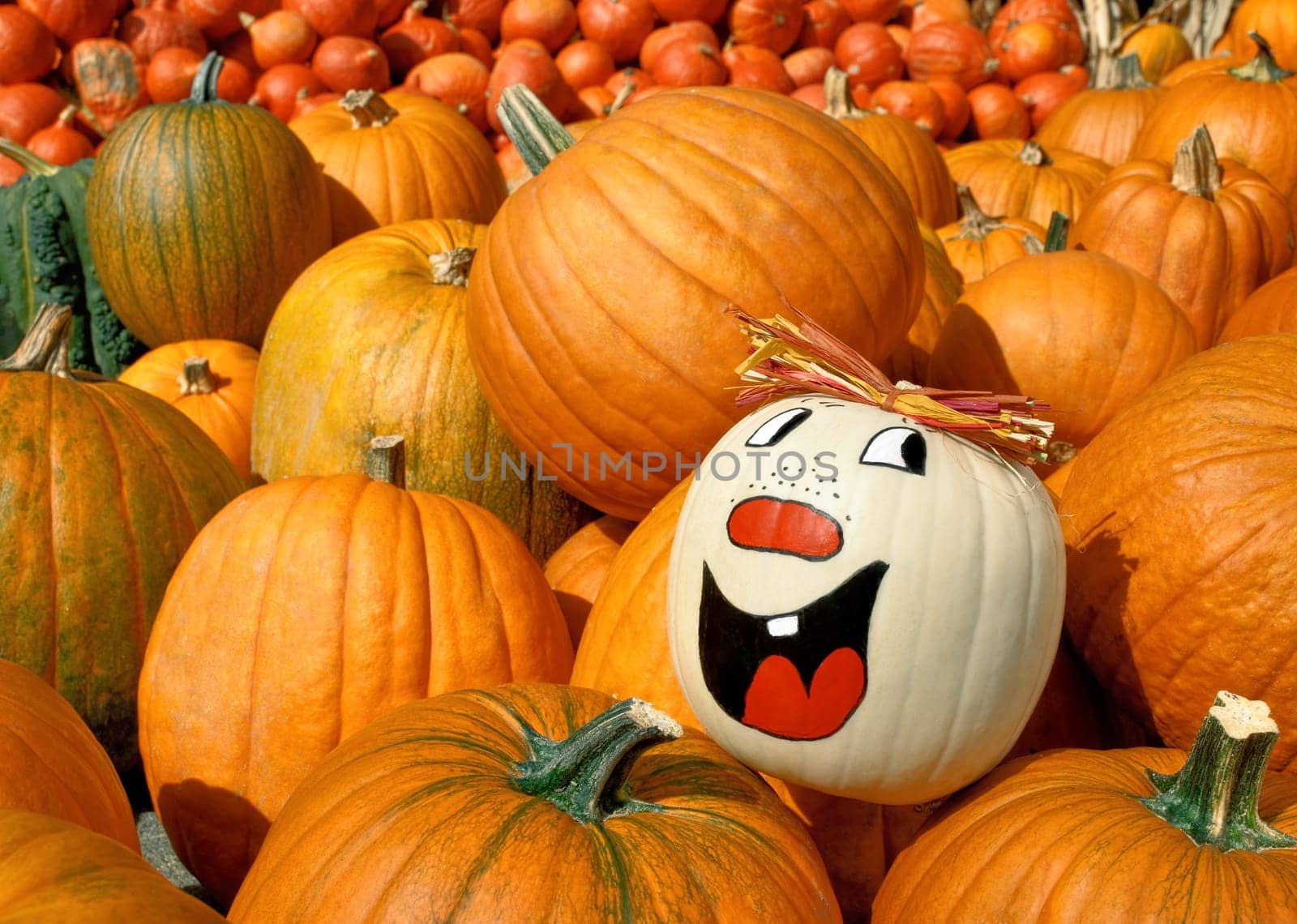 A pumpkin with a cheerfully painted face beams out from the crowd