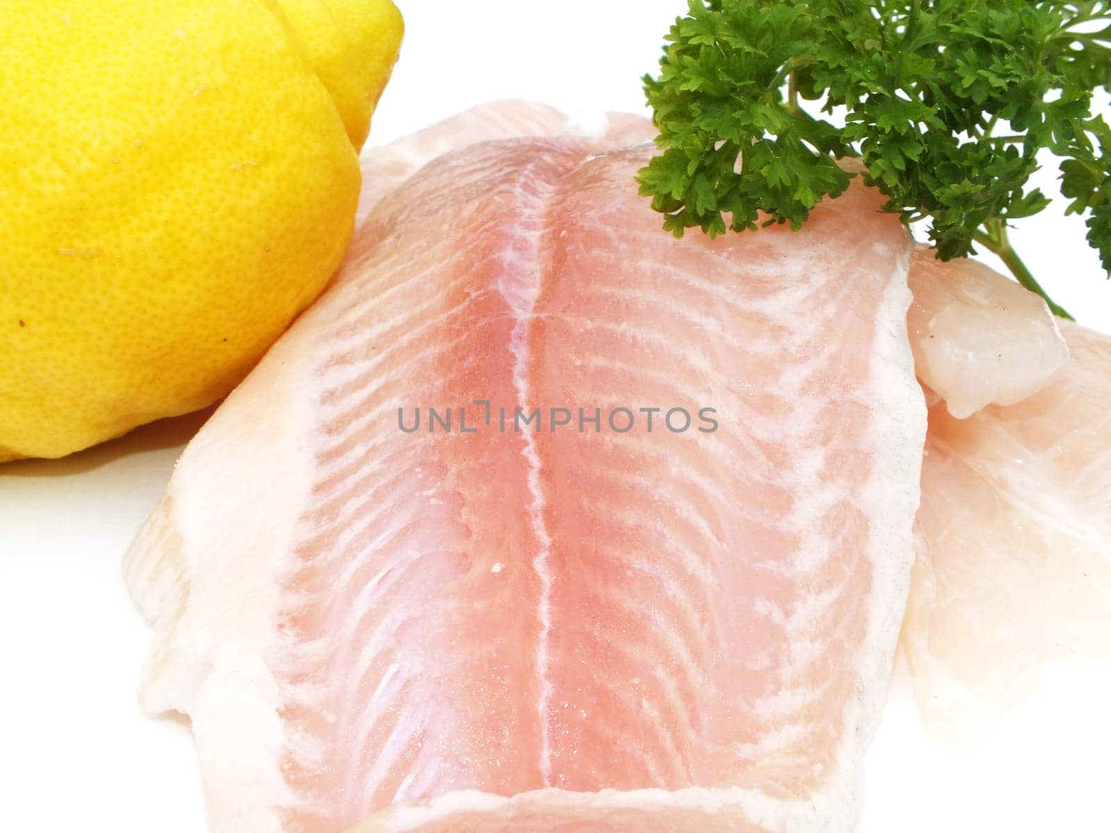 Pangasius