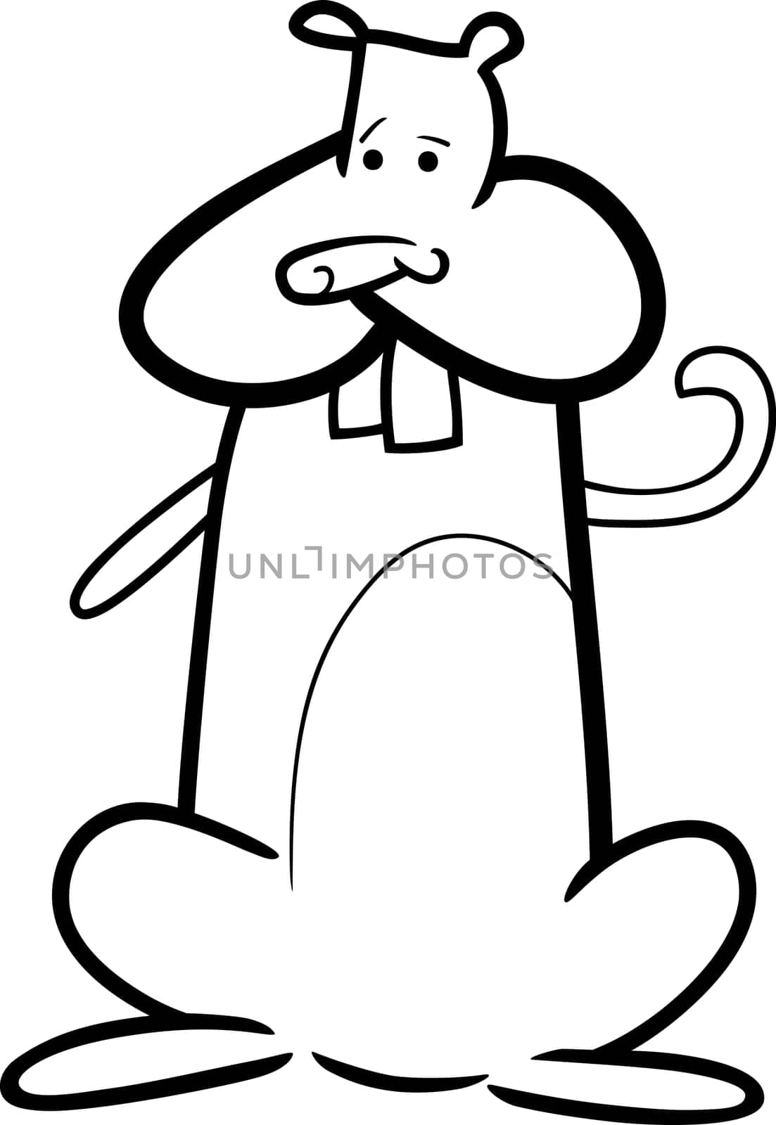 cartoon doodle illustration of funny domestic hamster for coloring book