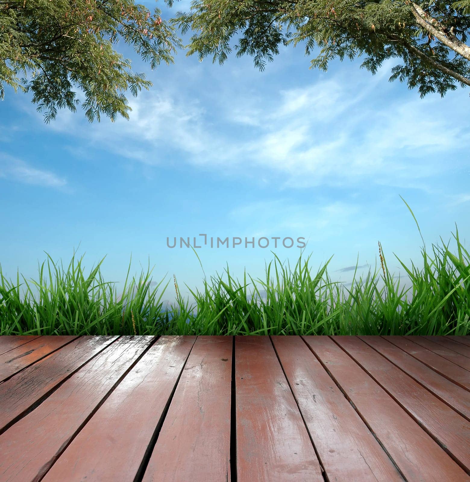 wooden terrace