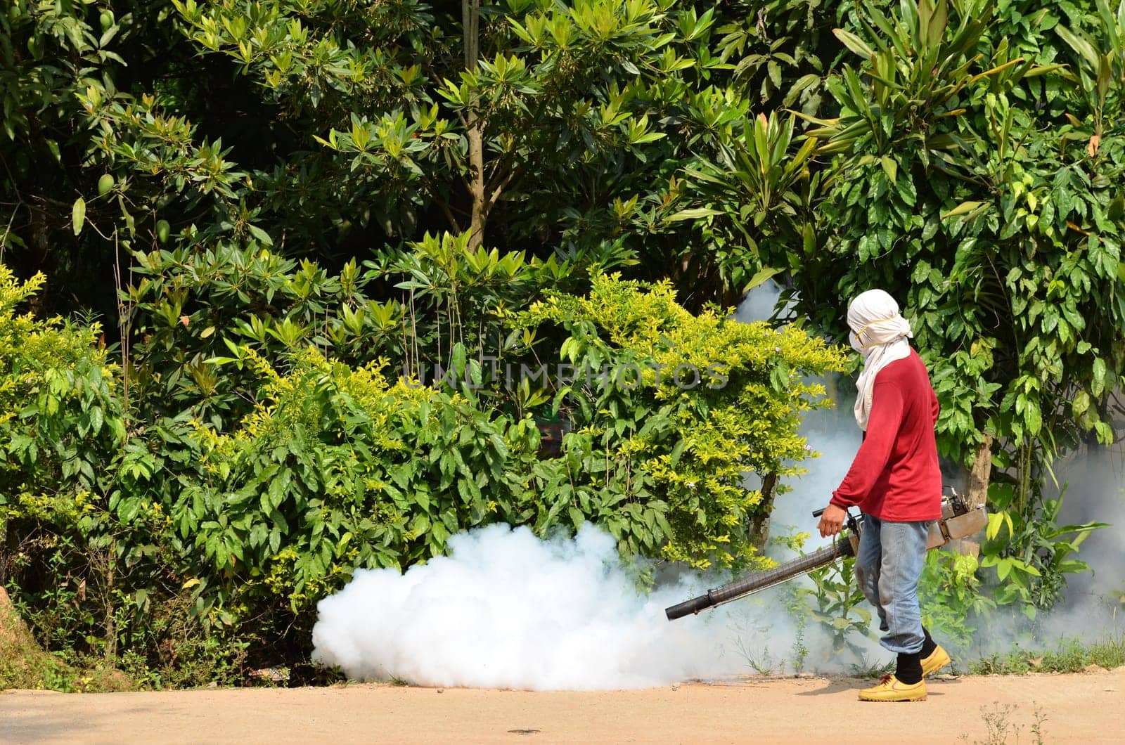 man Fogging to prevent spread of dengue fever in thailand