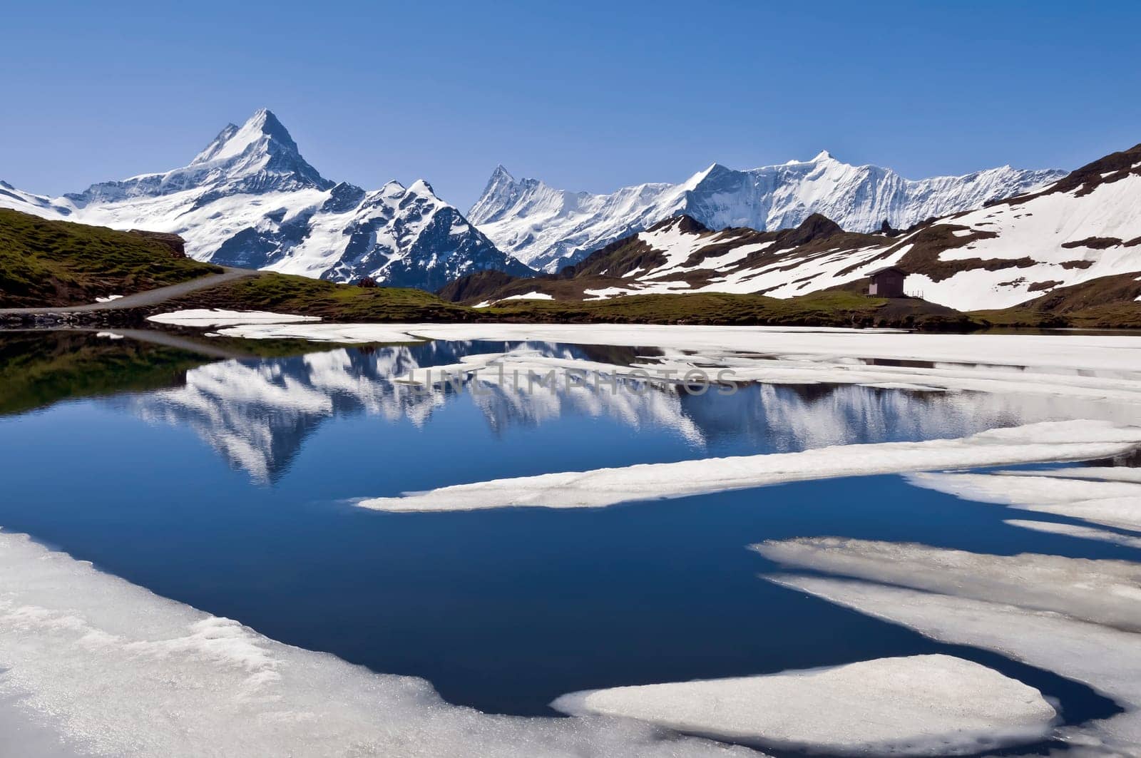Bachalpsee with reflection