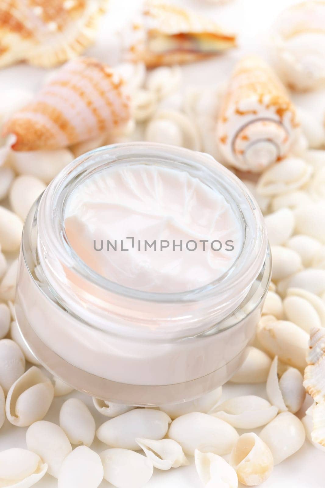 Natural face cream on seashells