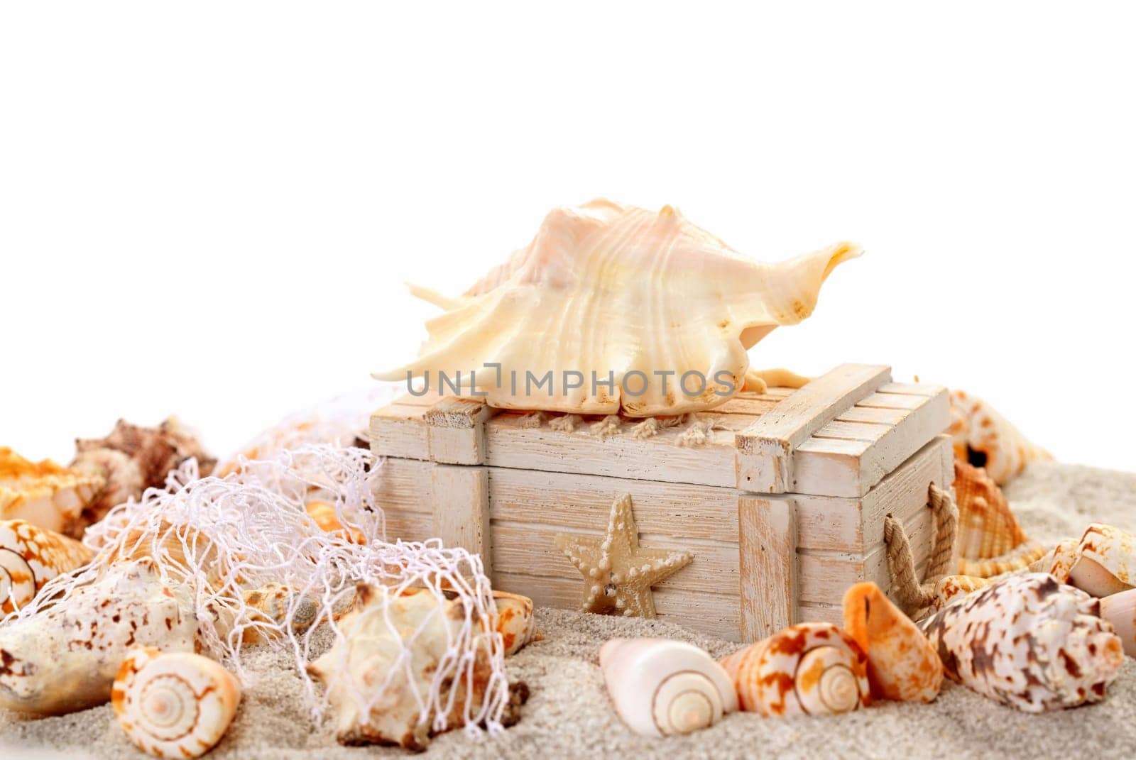 Seashells and treasure chest - concept of holiday, beach and summer