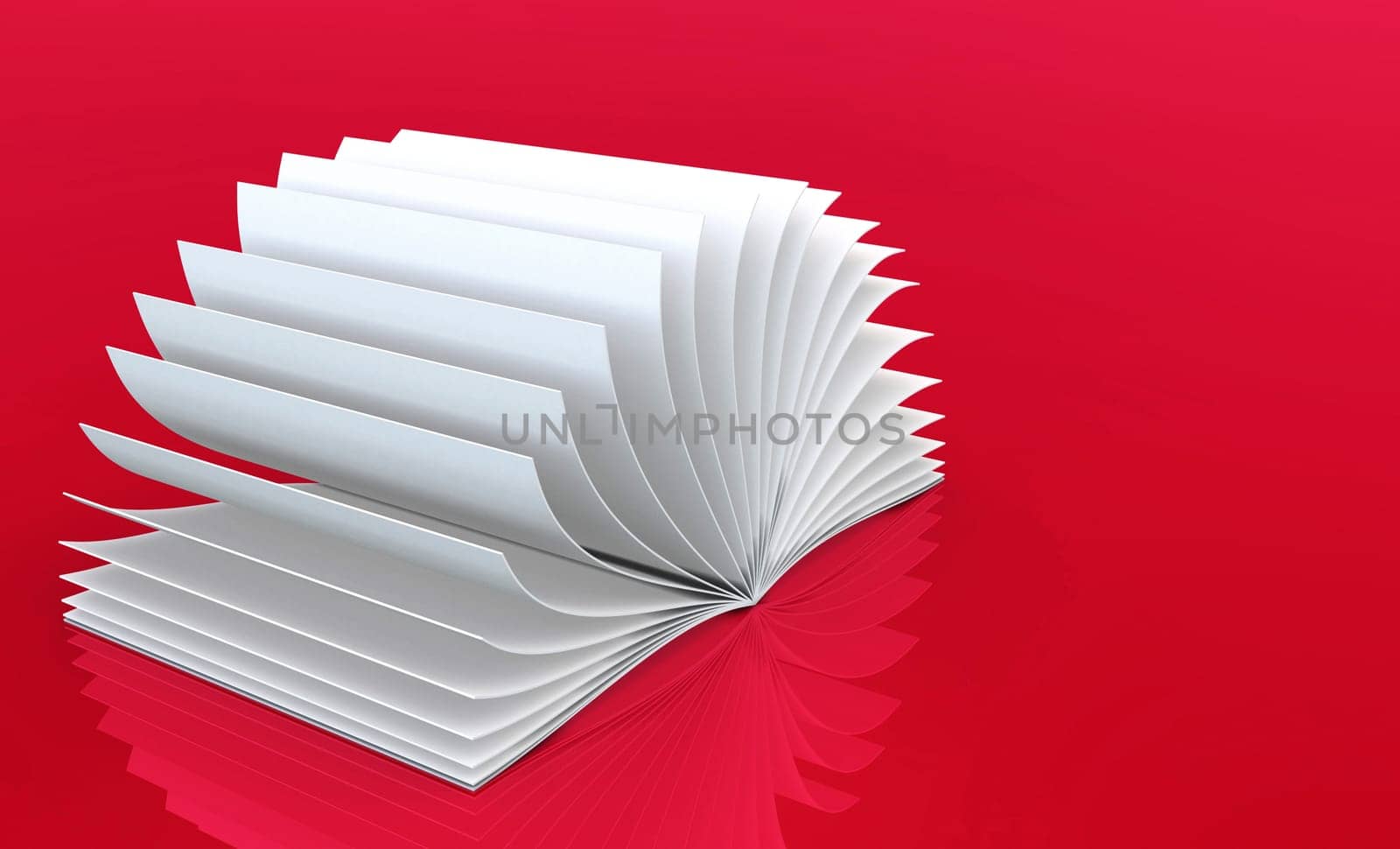 White Book on red 2