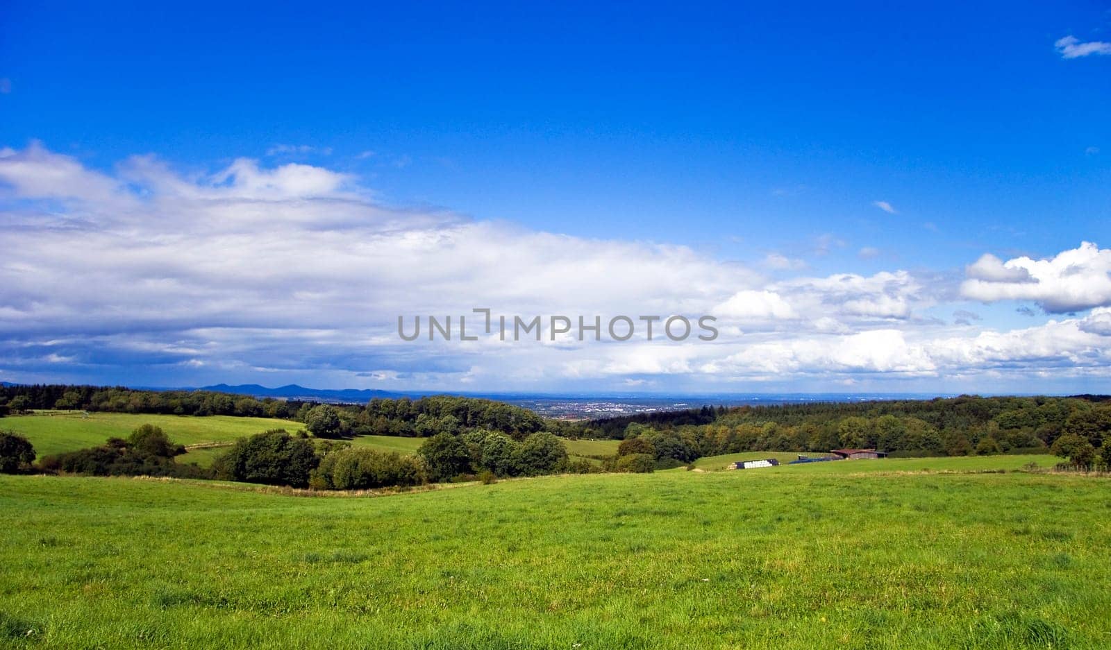 Countryside View in Summer 2