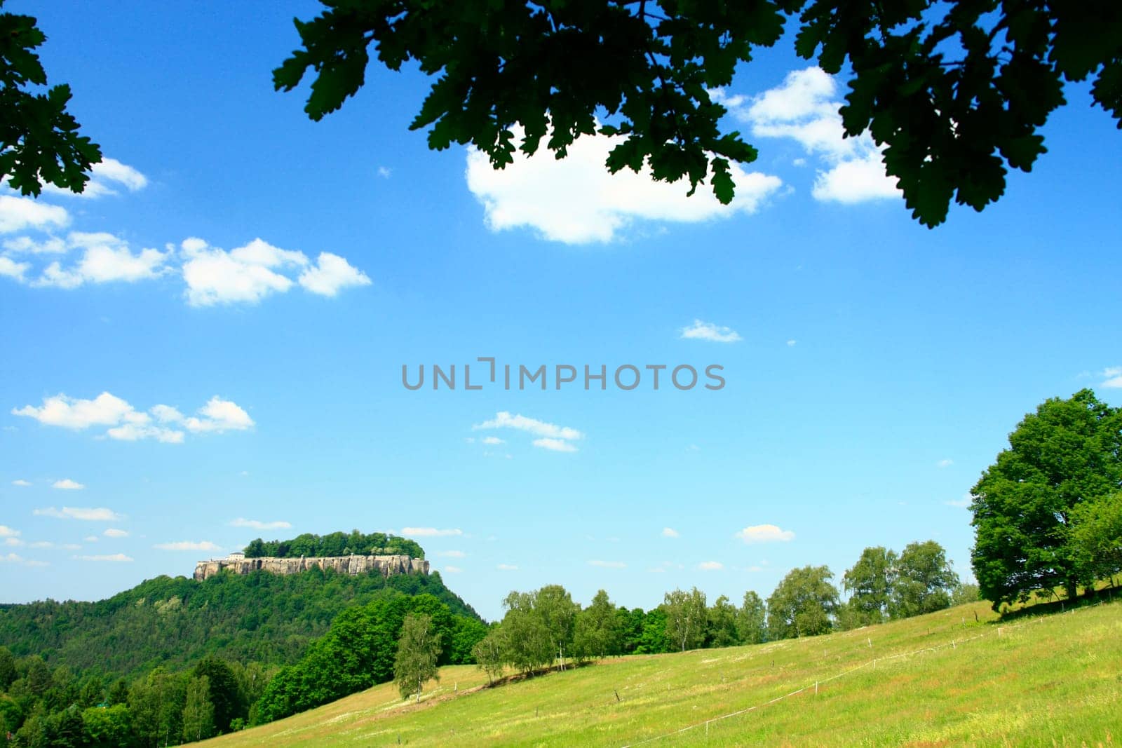 Landscape in Saxony with meadow,forest and blue sky and view of Königsstein Fortress