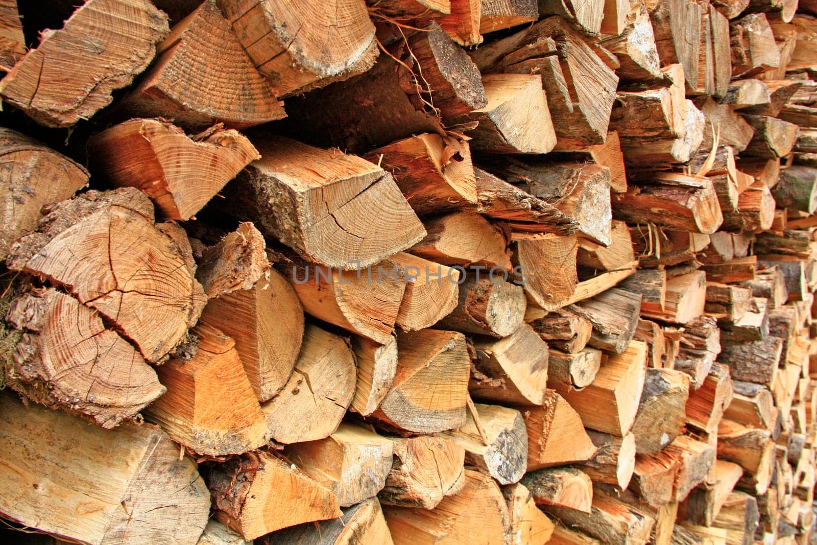 Firewood stacks
