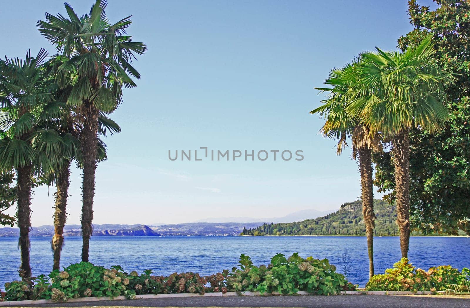 picturesque waterfront promenade with palm trees on Lake Garda,Italy