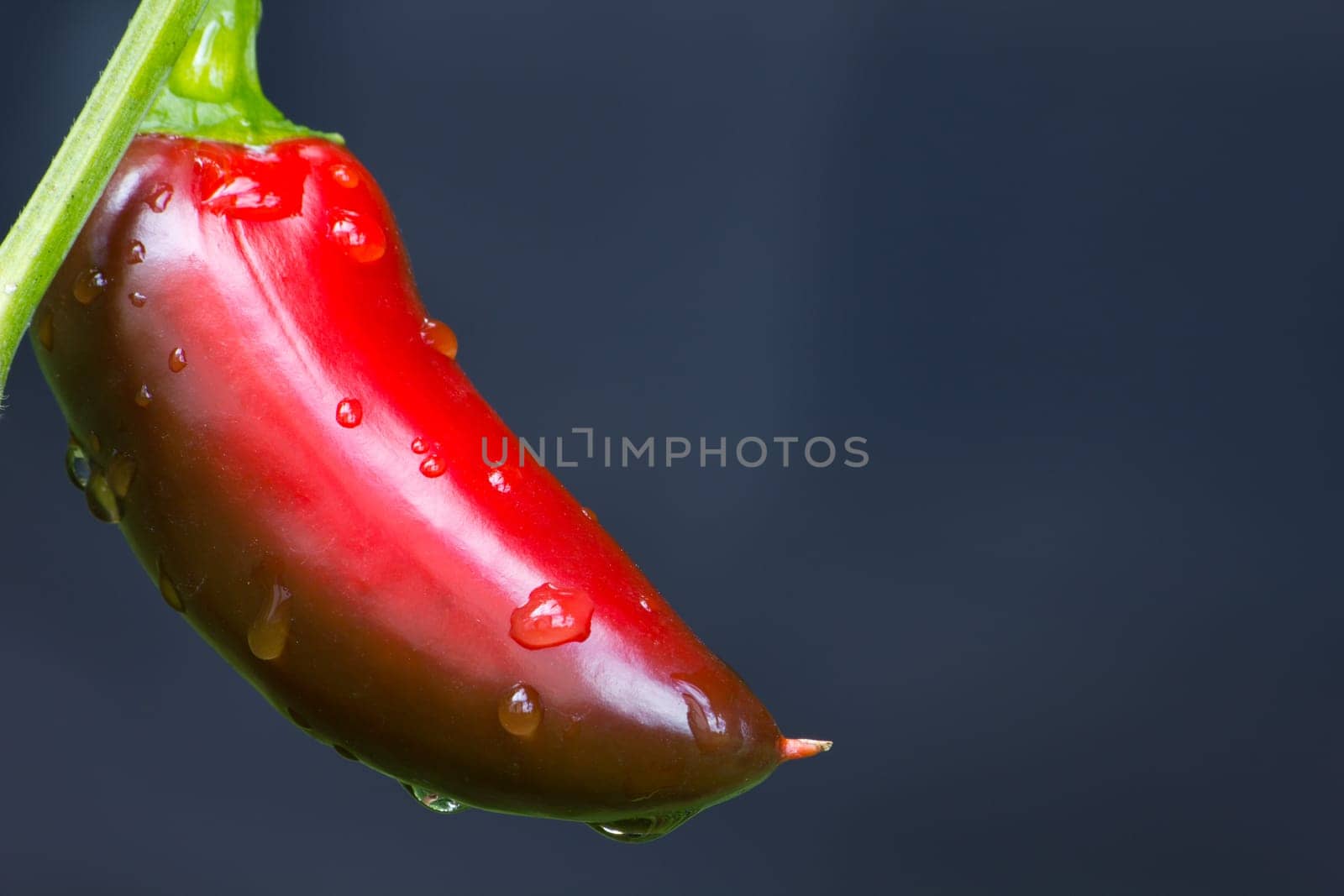 Chili Jalapeno