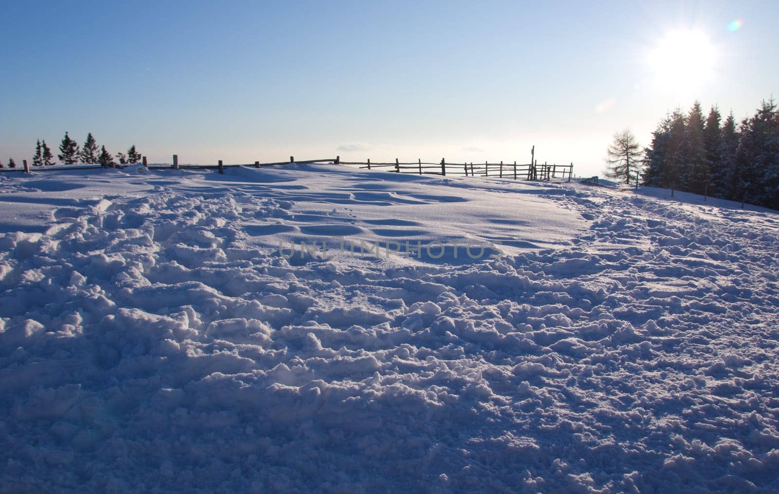 Tracks in the snow