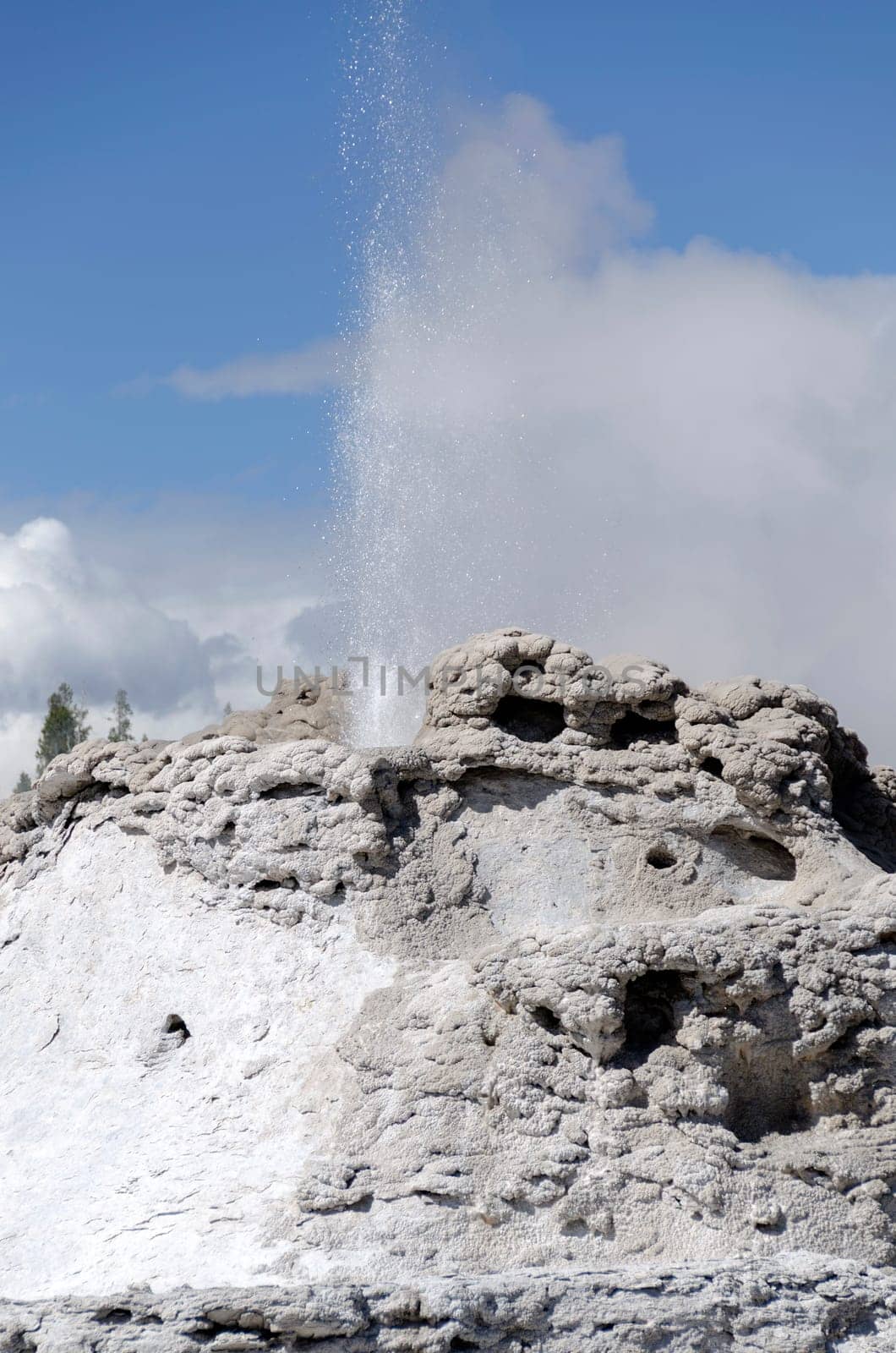 Geyser in Yellowstone National Park in Wyoming in the United States of America