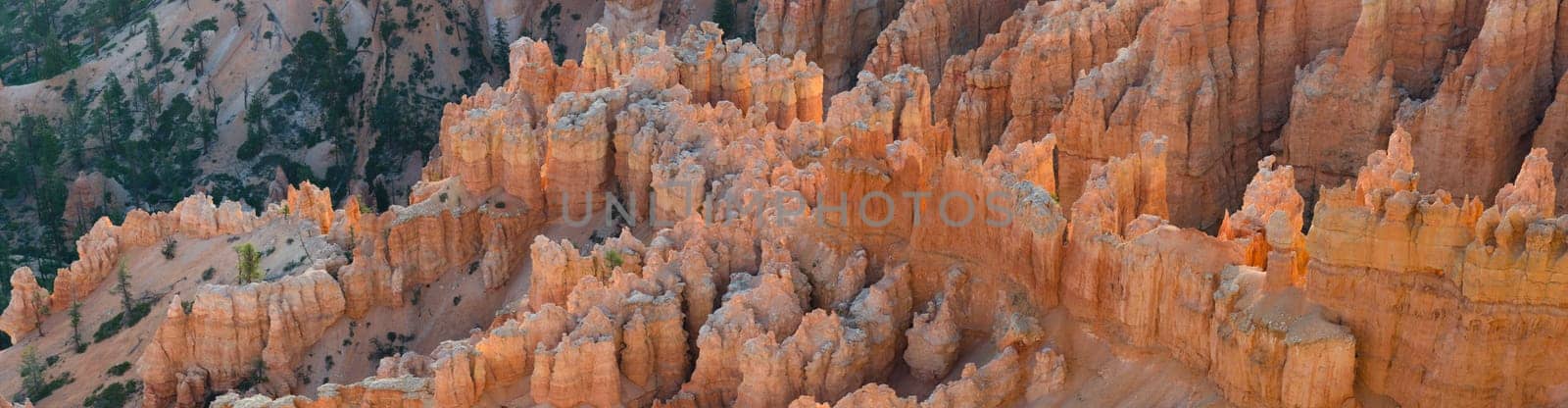 overview at sunrise in Bryce Canyon National Park in Utah in the United States of America