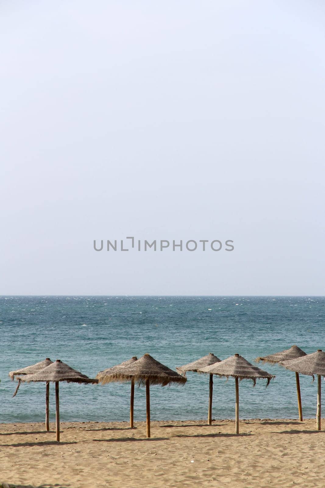 Row of umbrellas on the beach