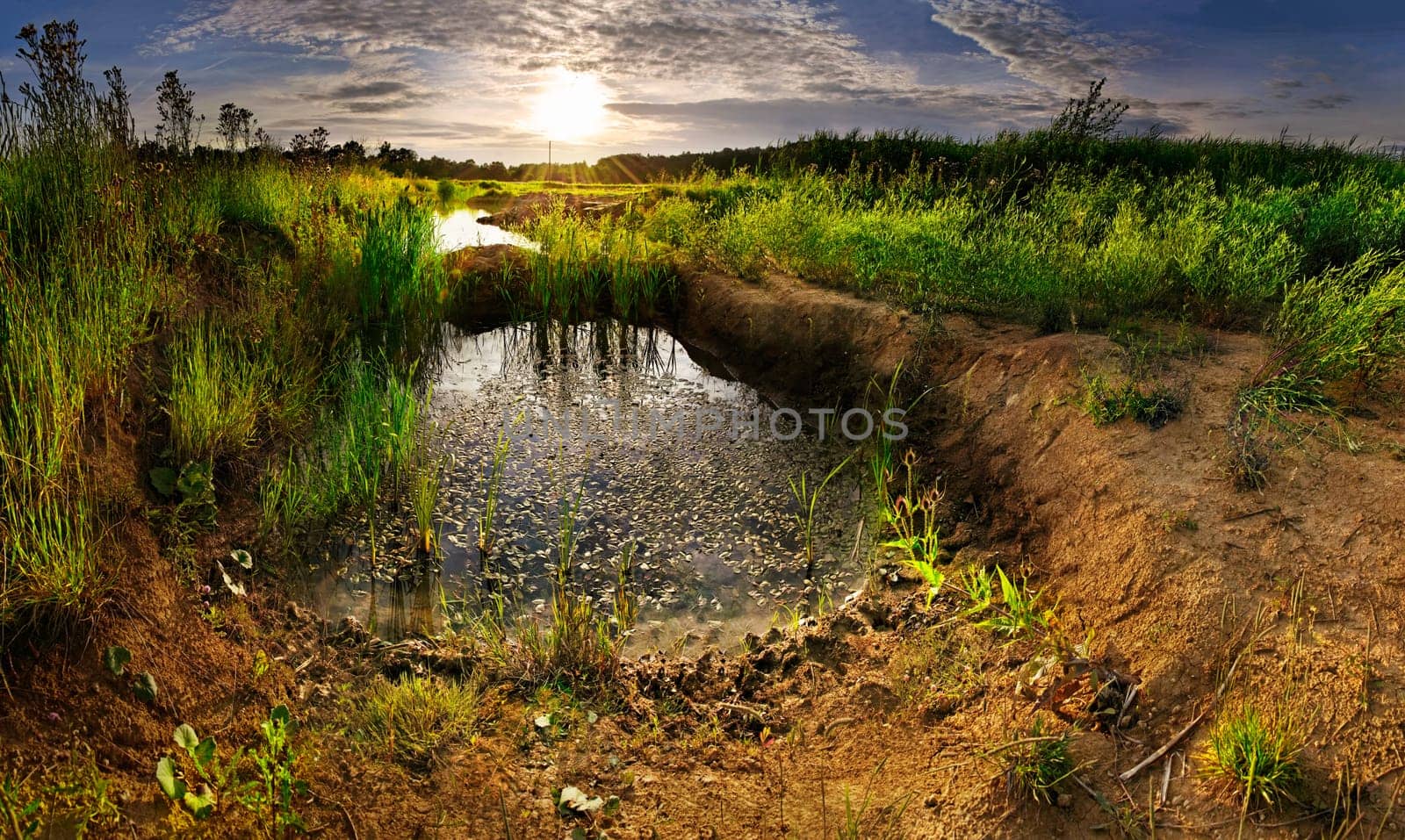 Old clay pit