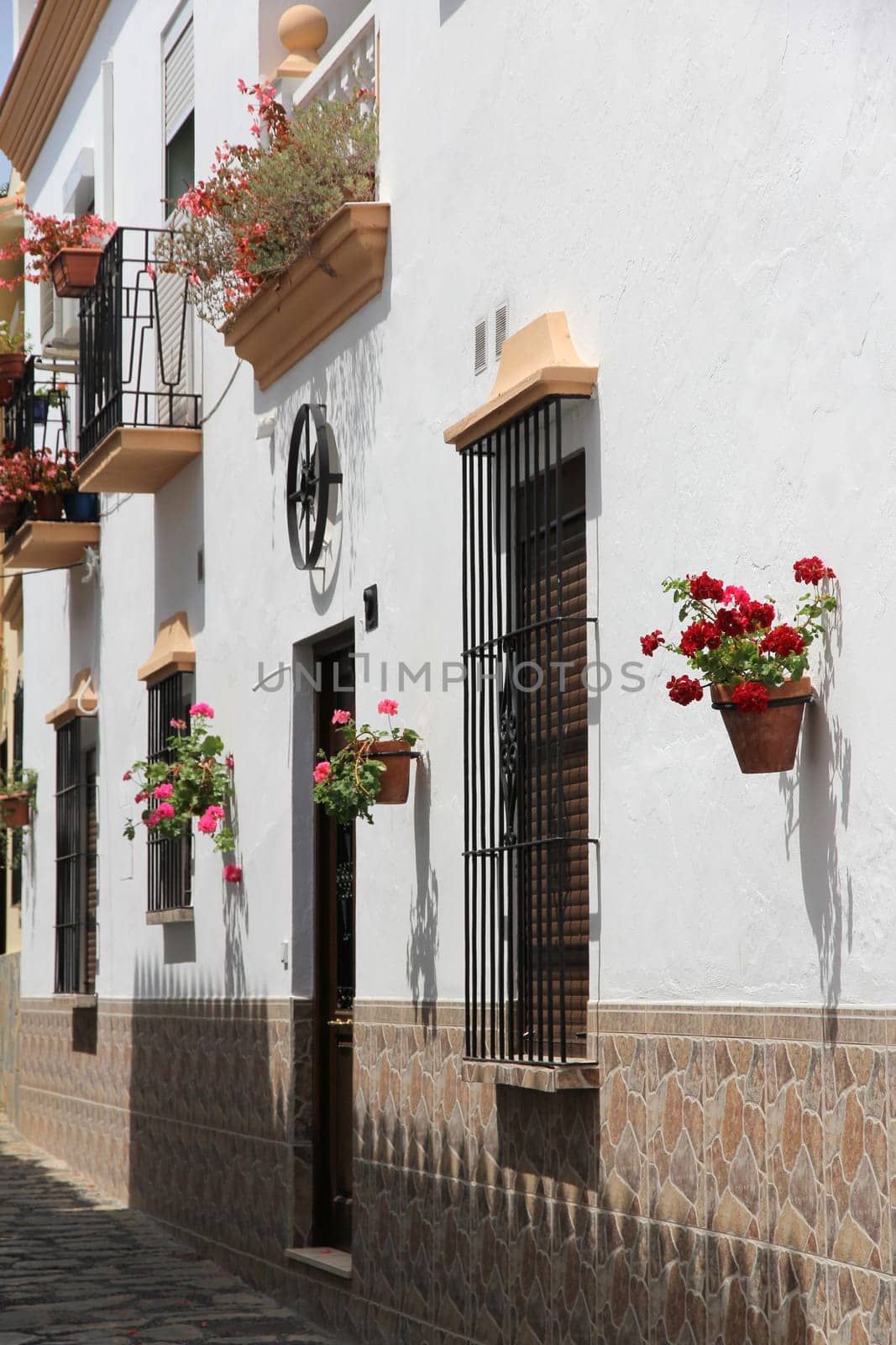 House with flowers