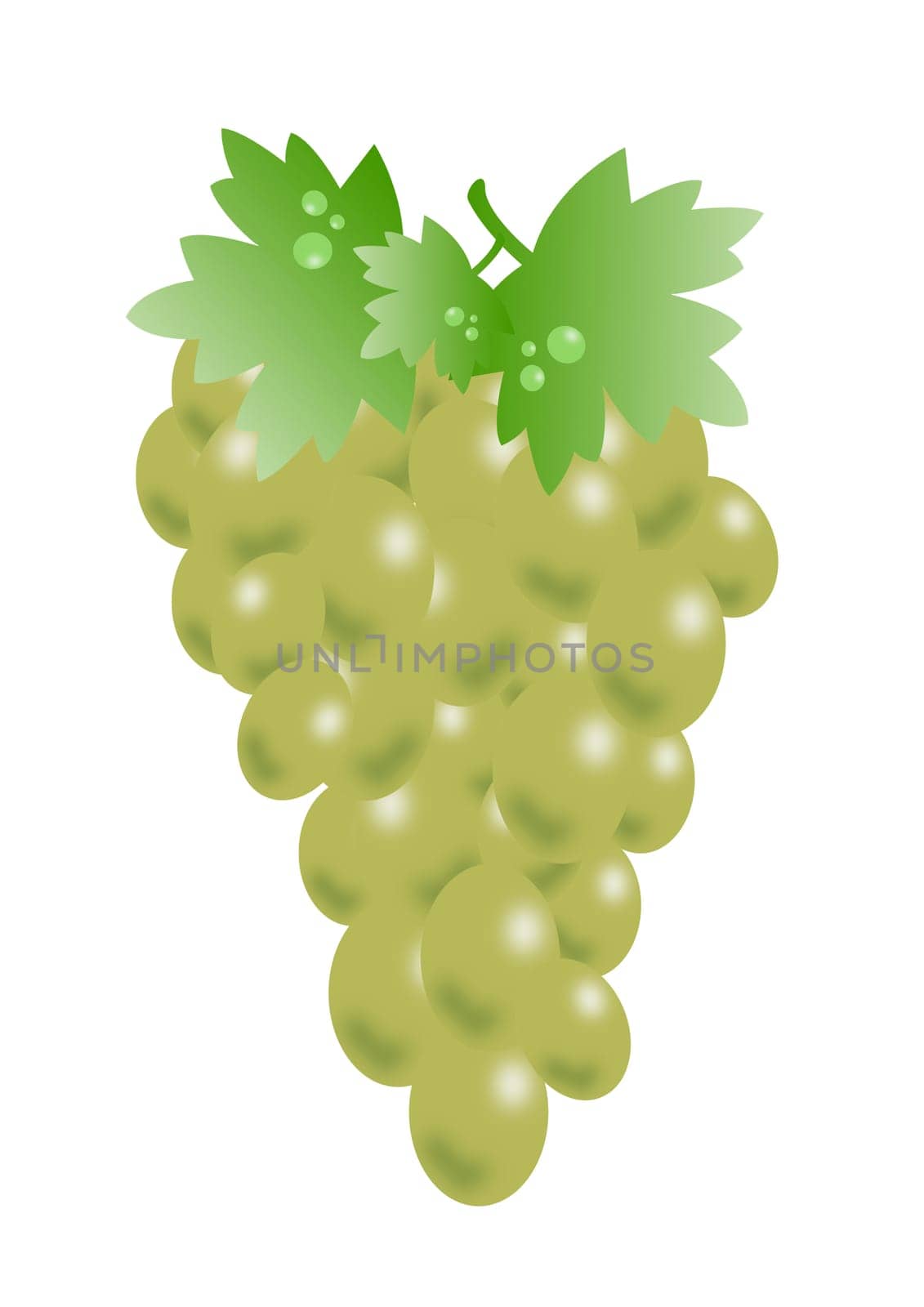 grape
