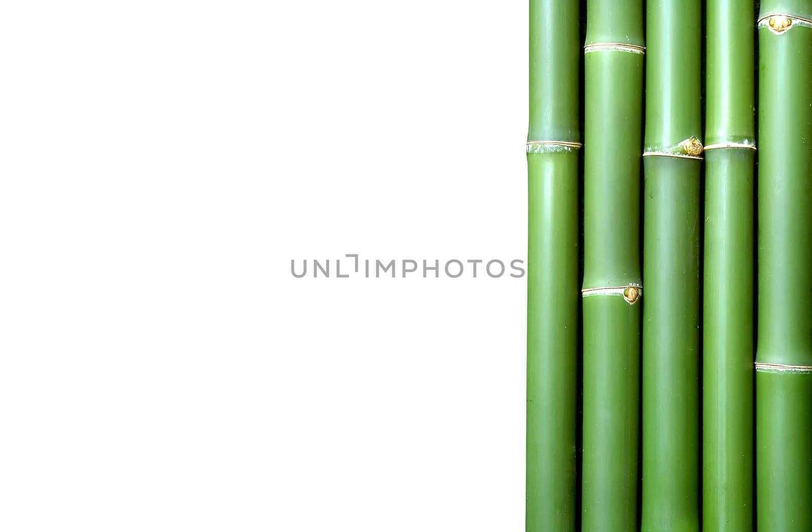 bamboo