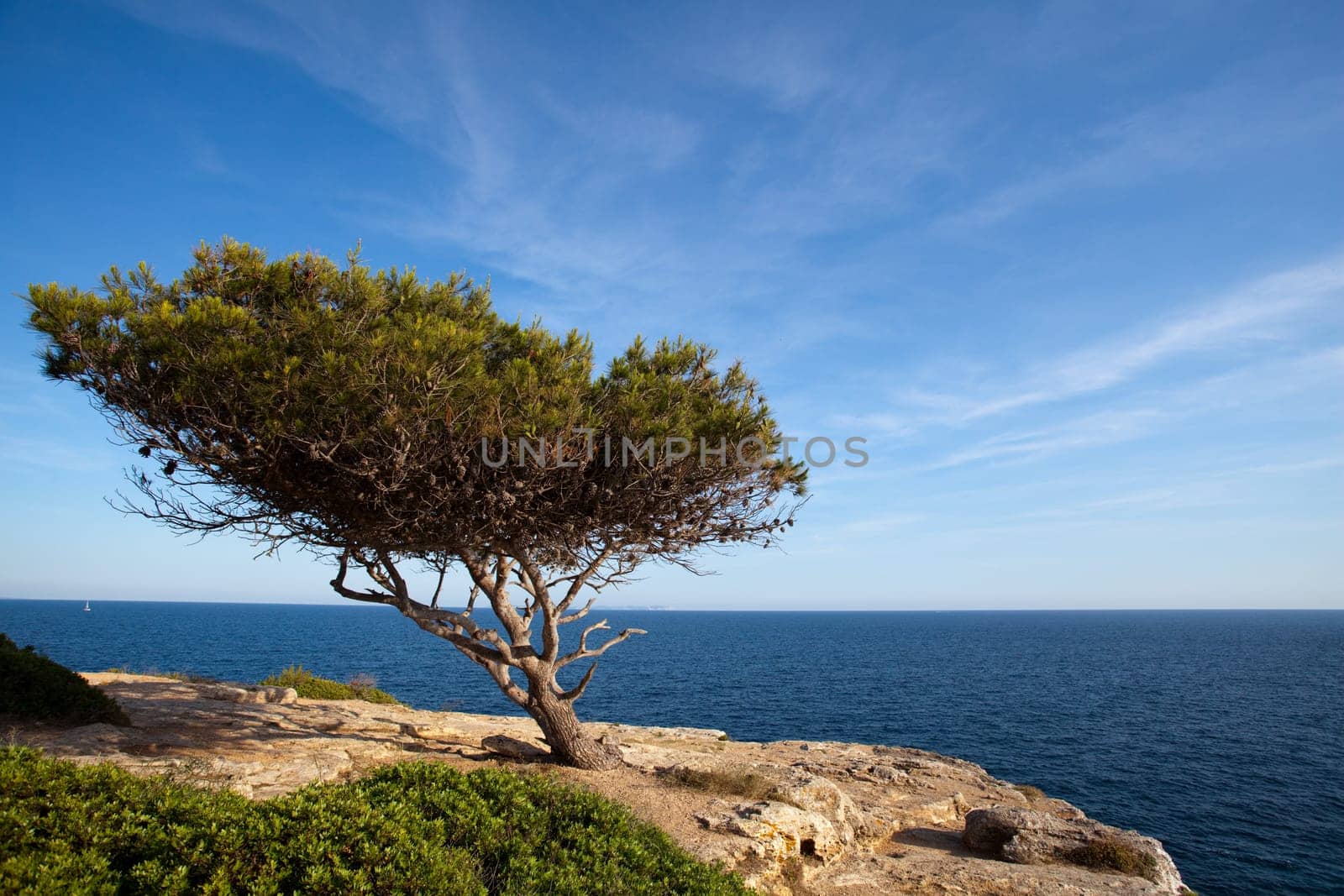 Cala Pi in Majorca
