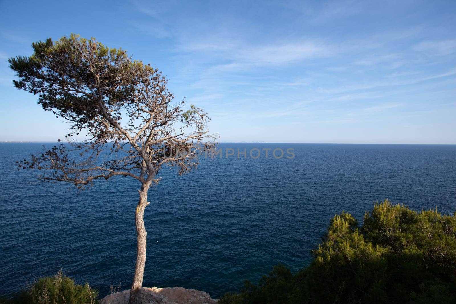 Coast of Mallorca