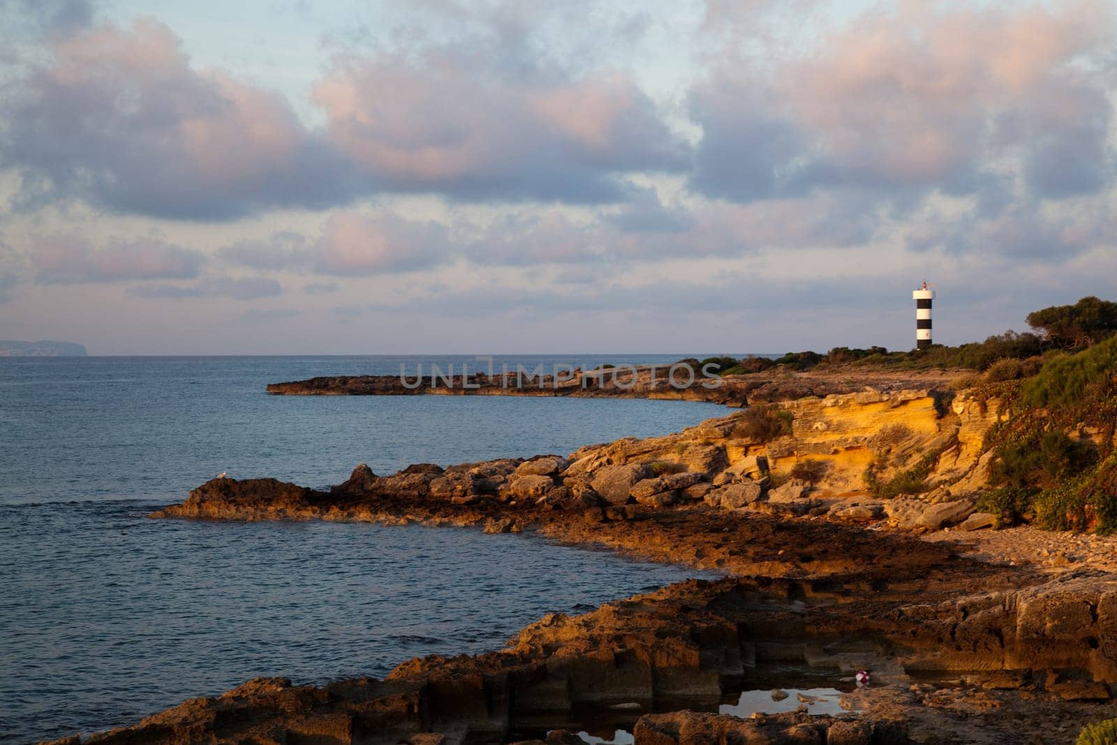 Coast of Mallorca