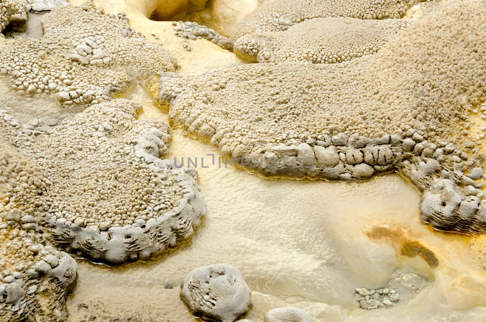 formations of limestone and minerals on the edge of the geysers in Yellowstone National Park in Wyoming in the United States of America