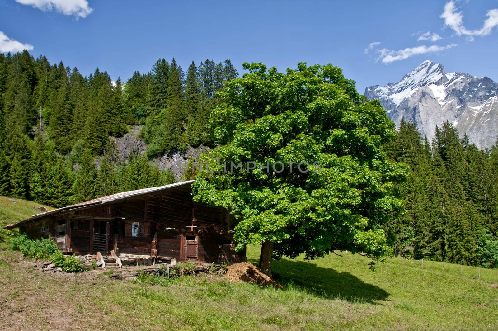 Alpine hut