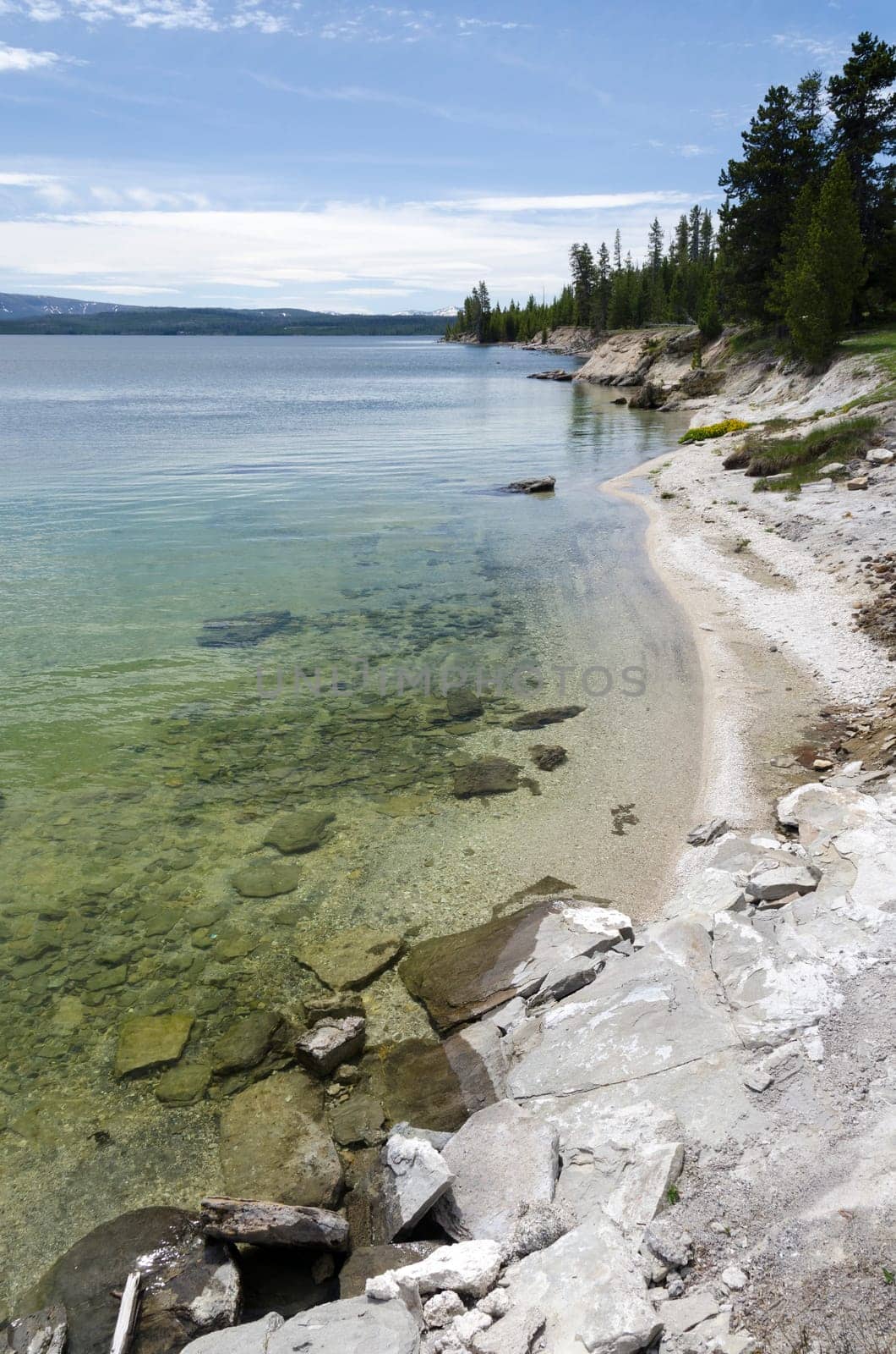 views on the shore of Lake Yellowstone in Wyoming in the United States of America