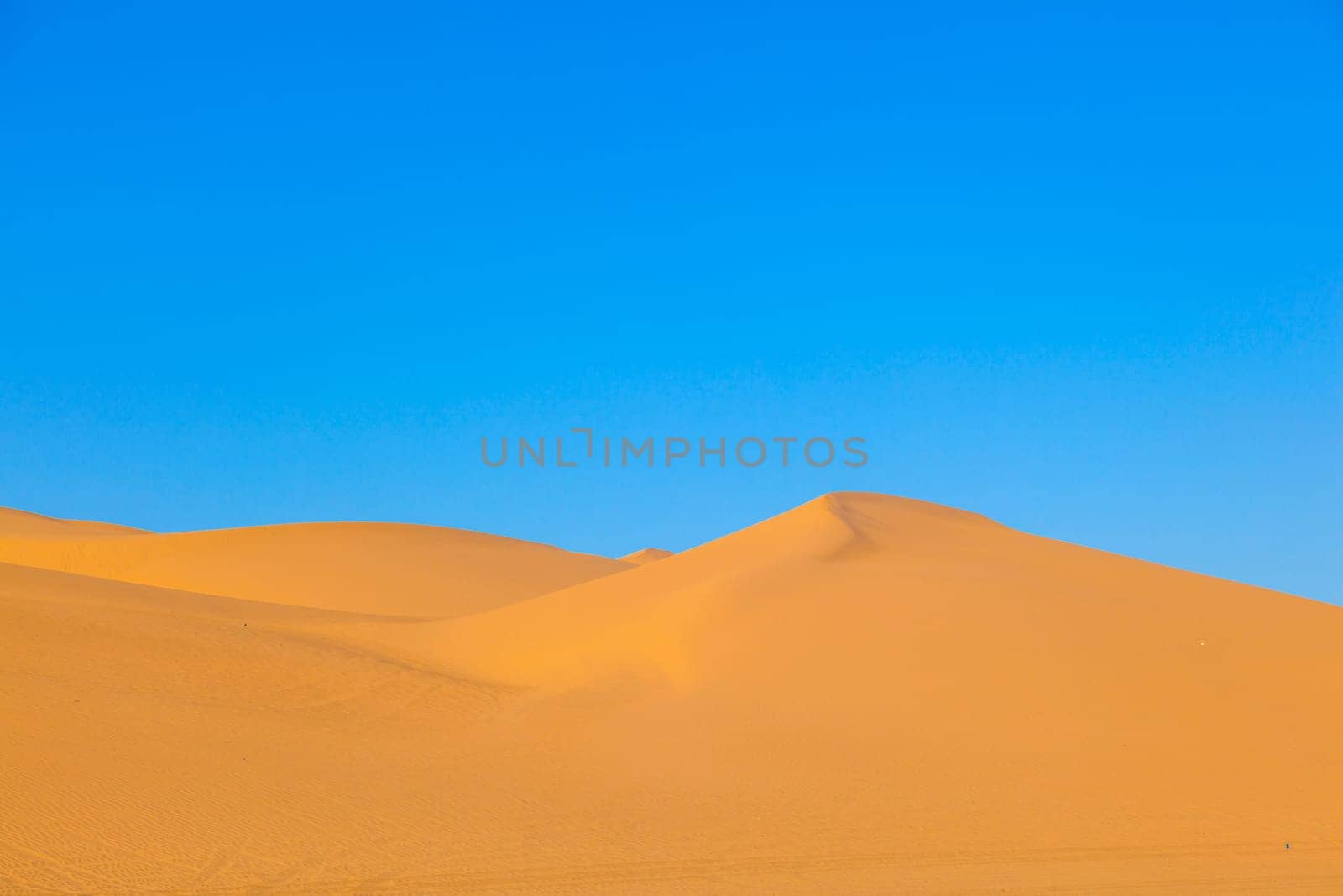 beautiful sand dune in sunrise in the desert